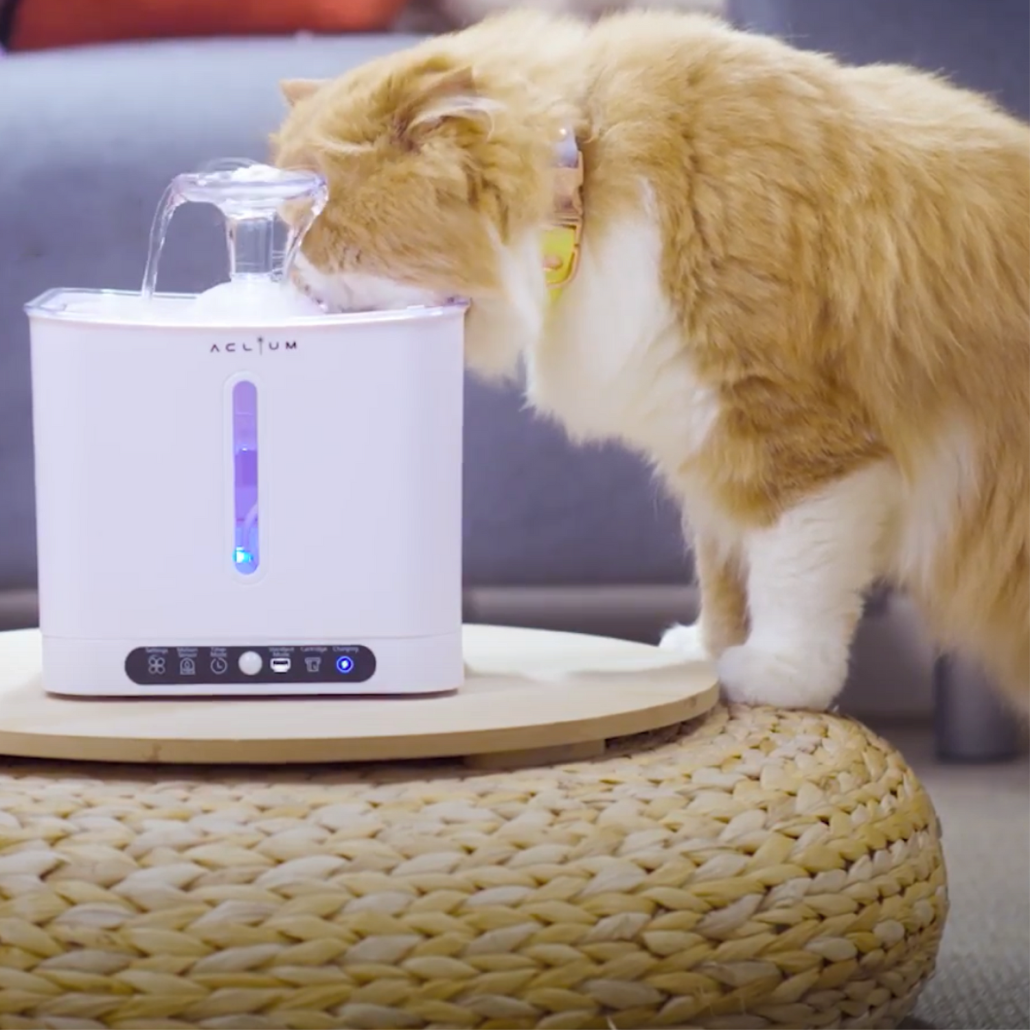 Aclium Cordless Cat Water Fountain